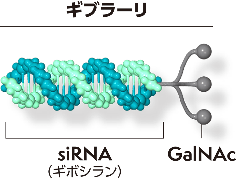 ギブラーリの構造